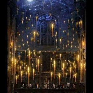 Meet your Posher, Edith